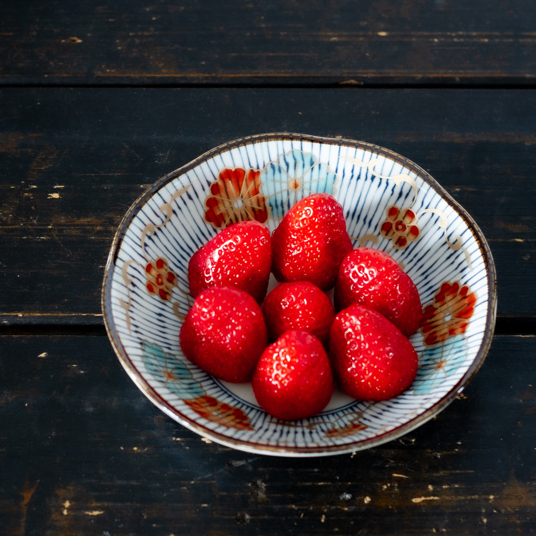 Set of 5 porcelain plates